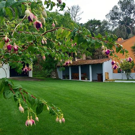 Villa In Sintra - Casa Da Penha Ferrim מראה חיצוני תמונה
