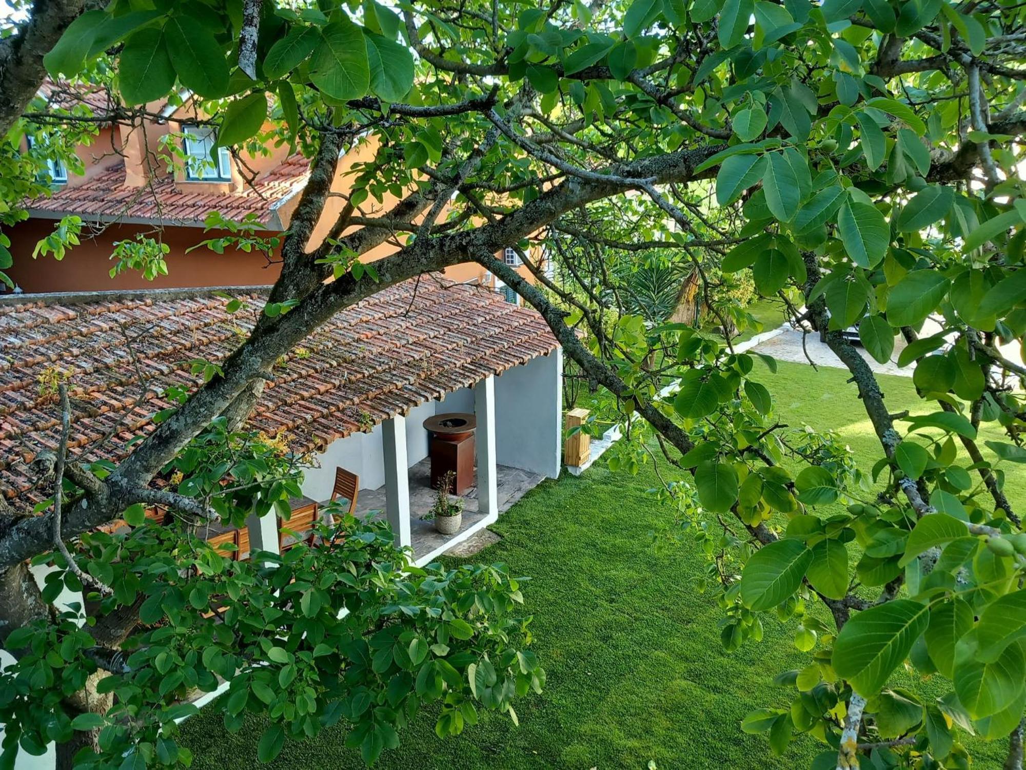 Villa In Sintra - Casa Da Penha Ferrim מראה חיצוני תמונה