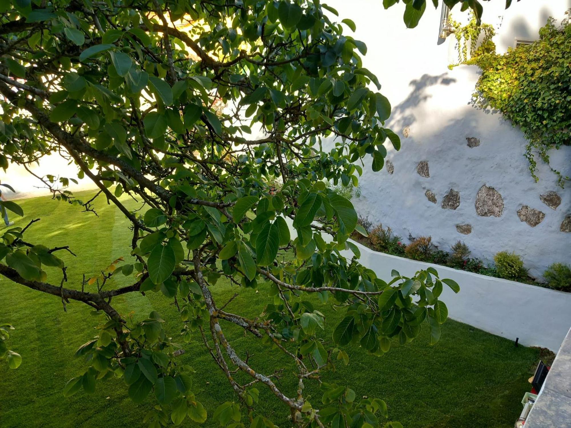 Villa In Sintra - Casa Da Penha Ferrim מראה חיצוני תמונה