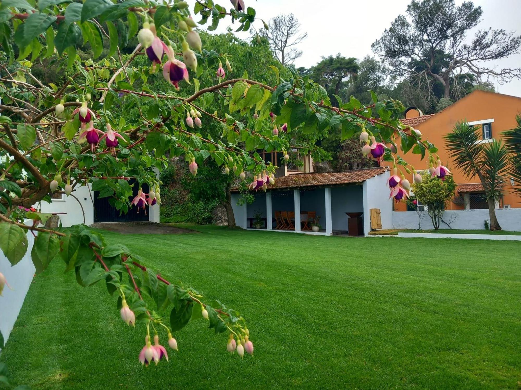 Villa In Sintra - Casa Da Penha Ferrim מראה חיצוני תמונה