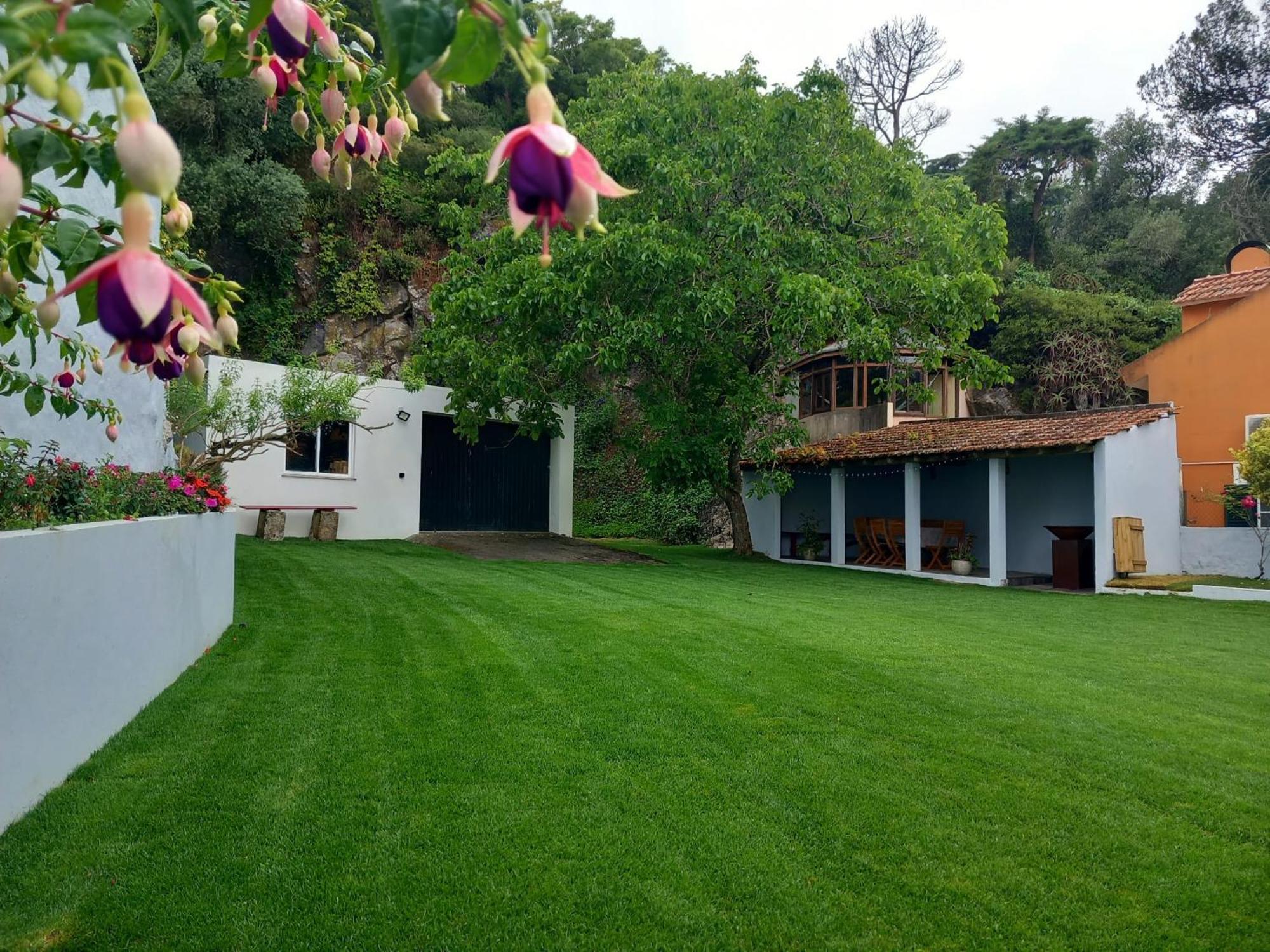 Villa In Sintra - Casa Da Penha Ferrim מראה חיצוני תמונה