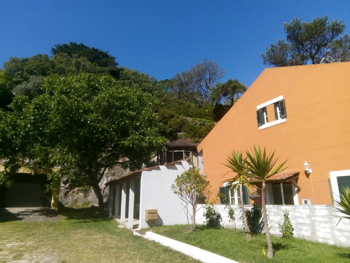 Villa In Sintra - Casa Da Penha Ferrim מראה חיצוני תמונה
