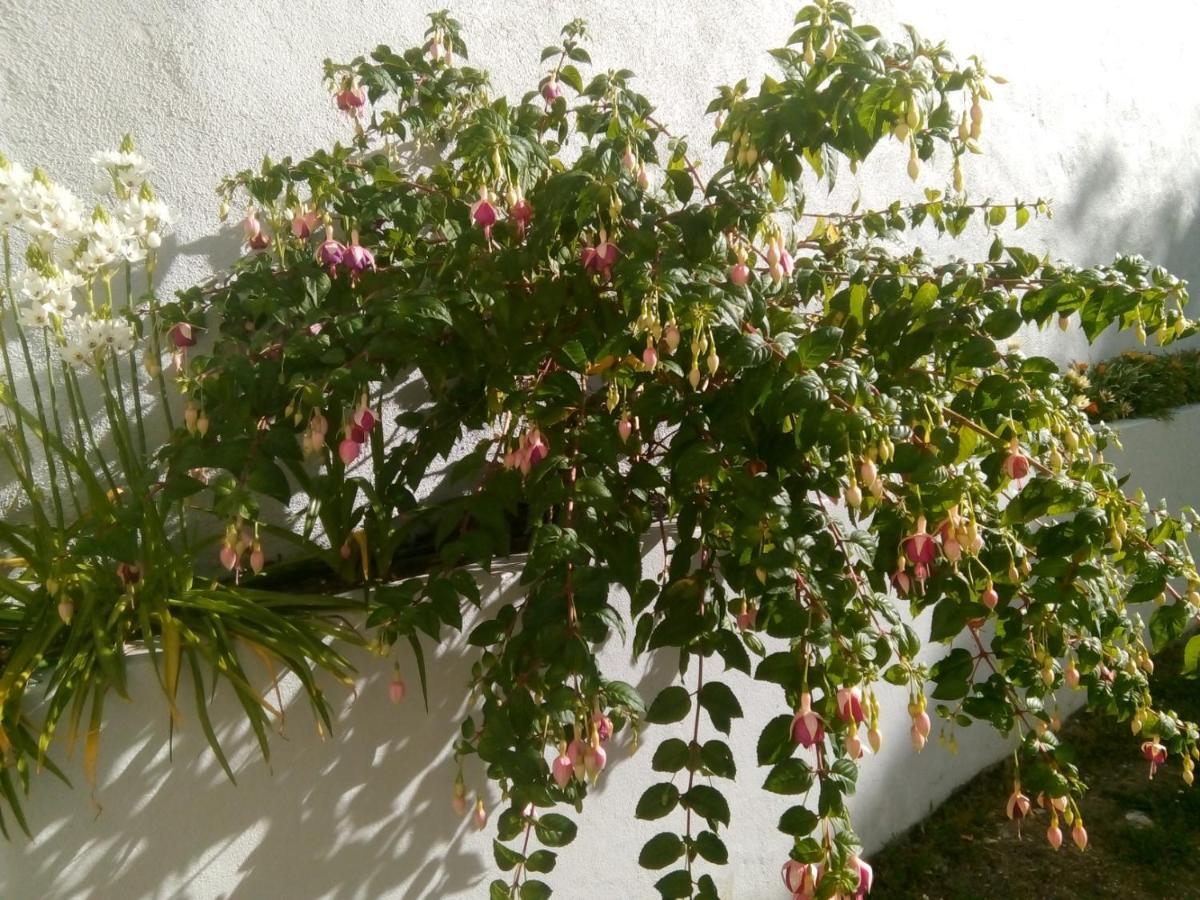 Villa In Sintra - Casa Da Penha Ferrim מראה חיצוני תמונה